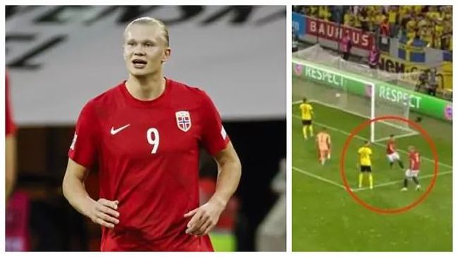 久草99