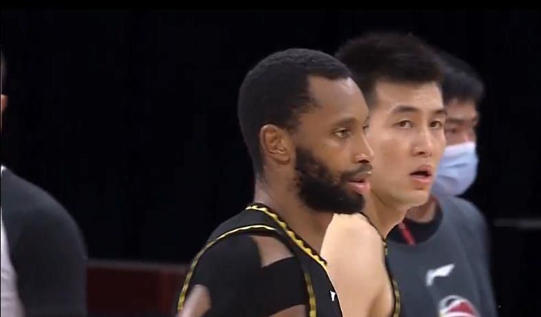 樱花小猫的视频大全