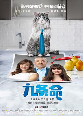 久久这里是精品