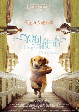 亚洲网站视频