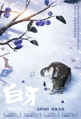 亚洲va久久久噜噜噜久久男同