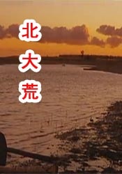 欧美一级成人影院免费的