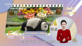 他妈的美好的一天